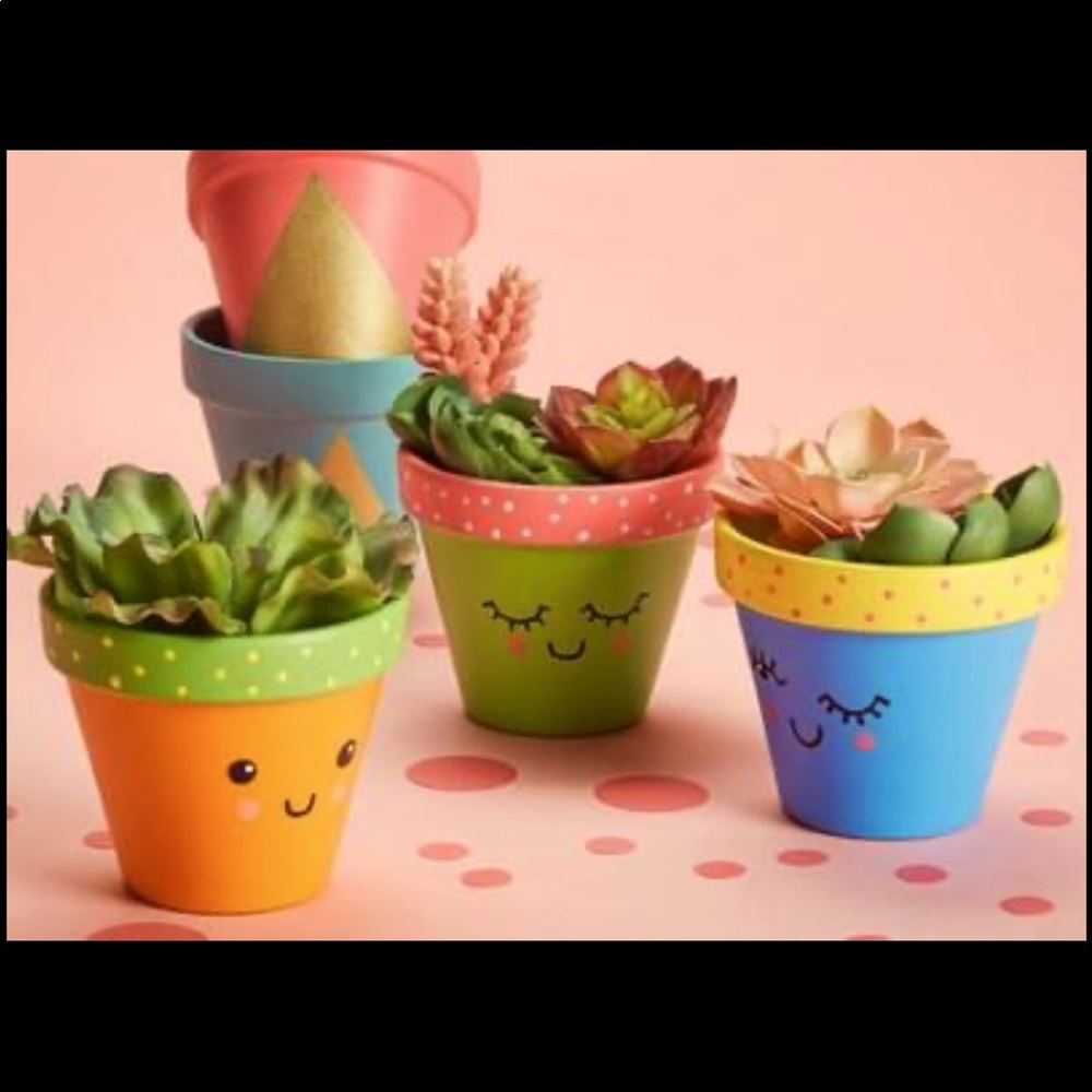 Kids DIY succulent kits